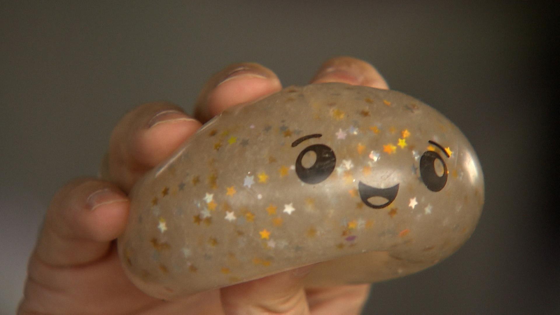 Squishy-Hype auch in Mannheim: Social Media-Trend erobert Spielzeugladen