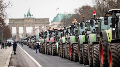 Landwirte nehmen an einer Demonstration des Deutschen Bauernverbandes in Berlin teil.