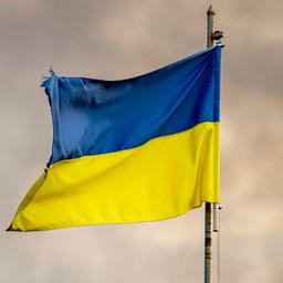 Ukraine Flagge