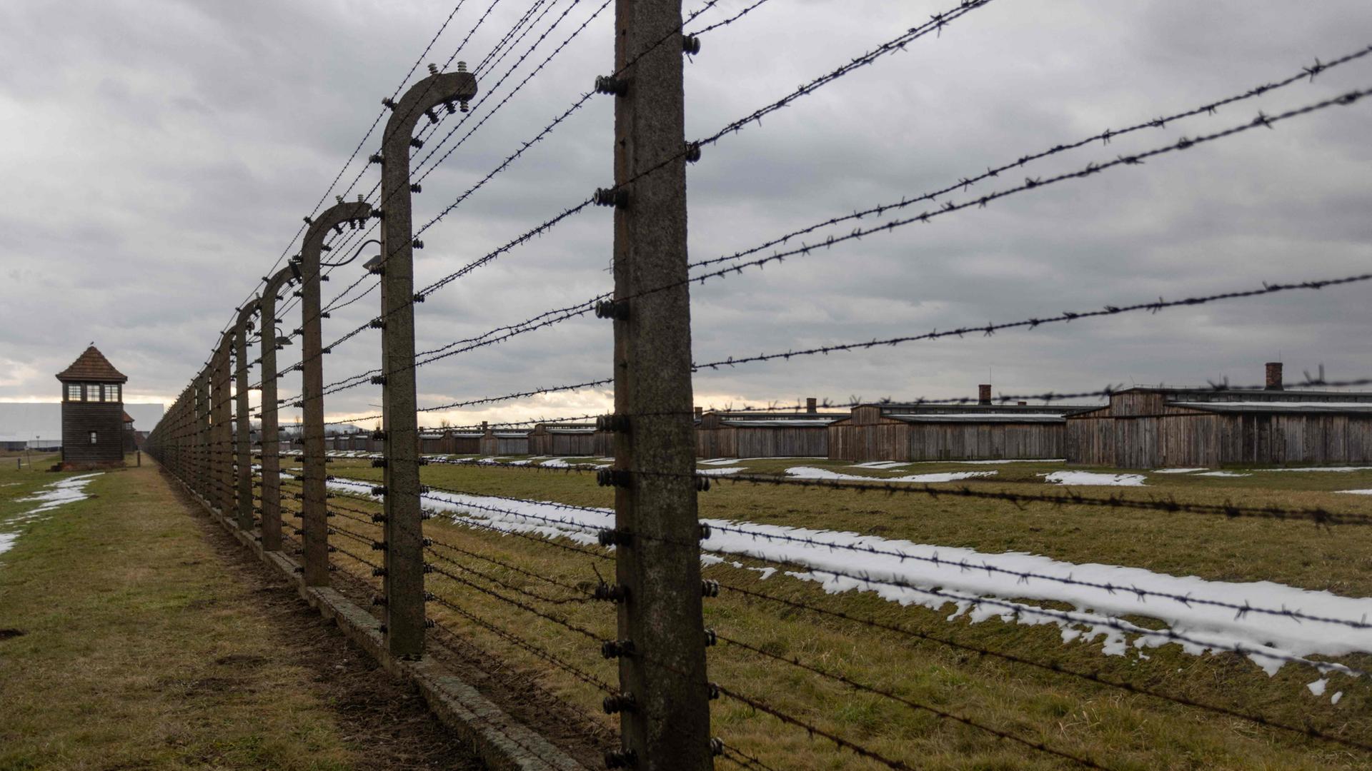 Ein Stacheldrahtzaun am ehemaligen Konzentrationslager Auschwitz. | AFP