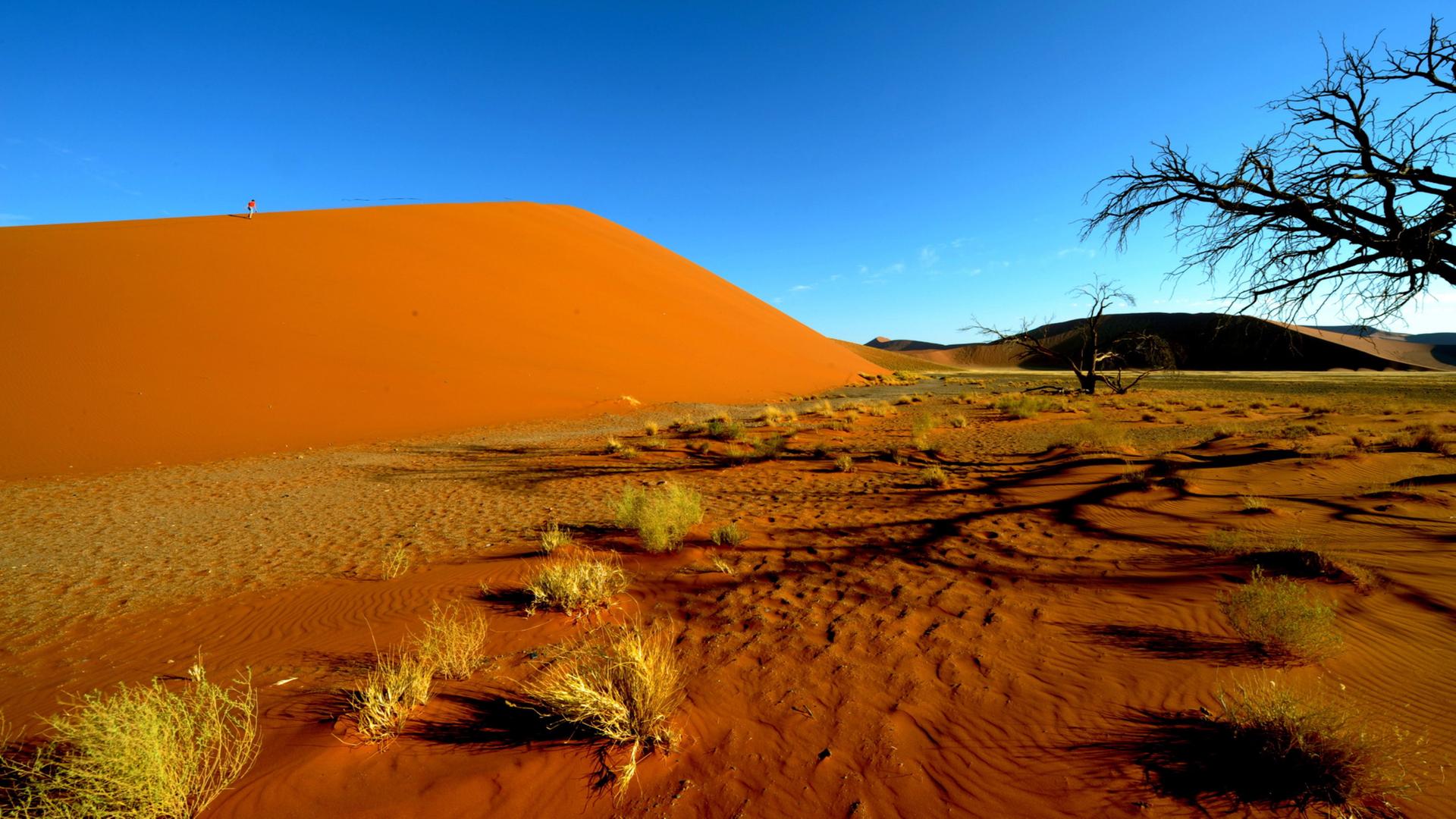 Rote SanddÃ¼nen in der WÃ¼ste Sossusvlei in Namibia | Ralf Hirschberger/dpa