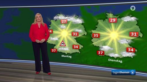 Die Wetteraussichten