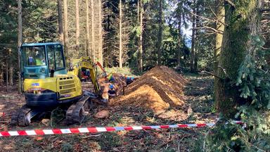Ein Bagger steht im Wald im westfranzösischen Meymac.