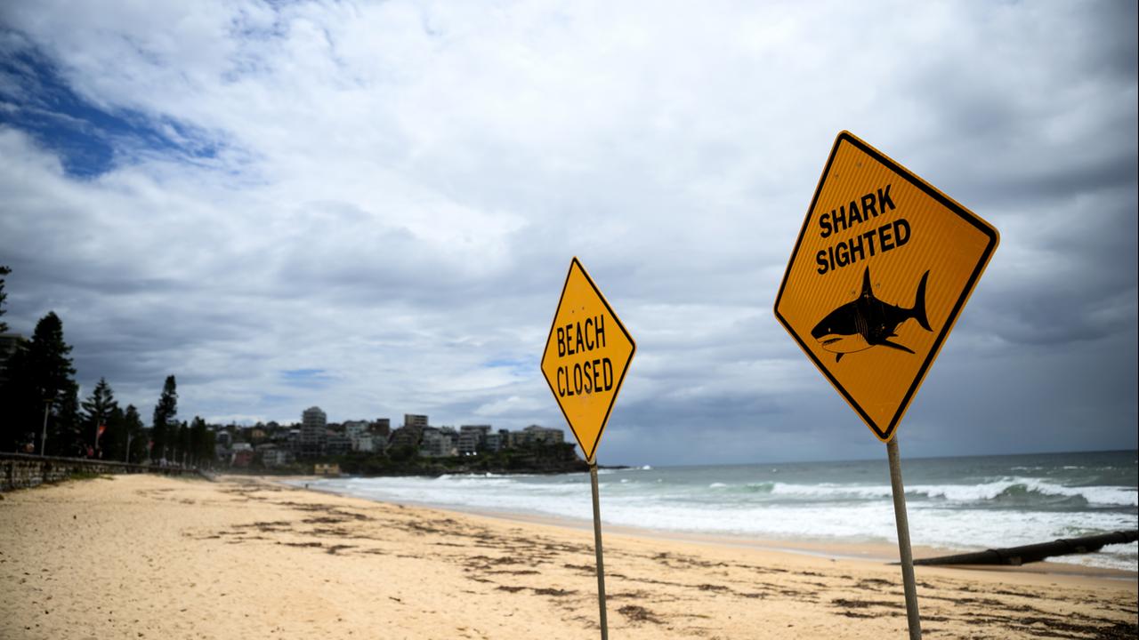 hai-attacken-in-australien-str-nde-in-new-south-wales-gesperrt