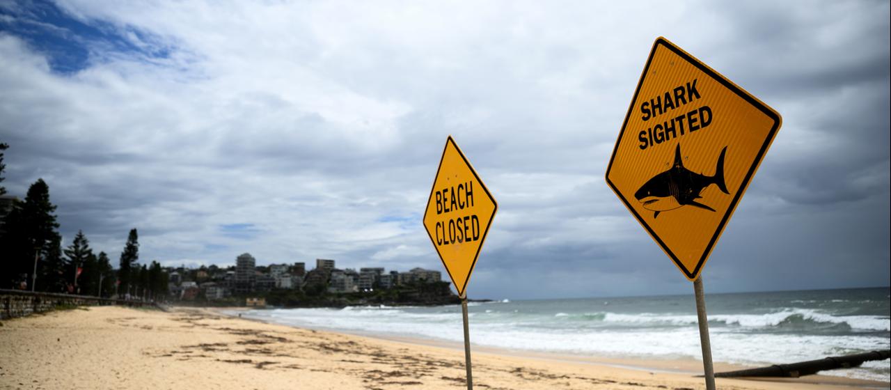 Ein Strand in Australien ist mit Schildern nach einer Hai-Attacke gesperrt.