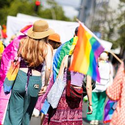 Teilnehmer des Christopher Street Day ziehen mit Fahnen durch die Braunschweiger Innenstadt