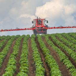  Ein Landwirt spritzt sein Kartoffelfeld mit einem Pestizid.