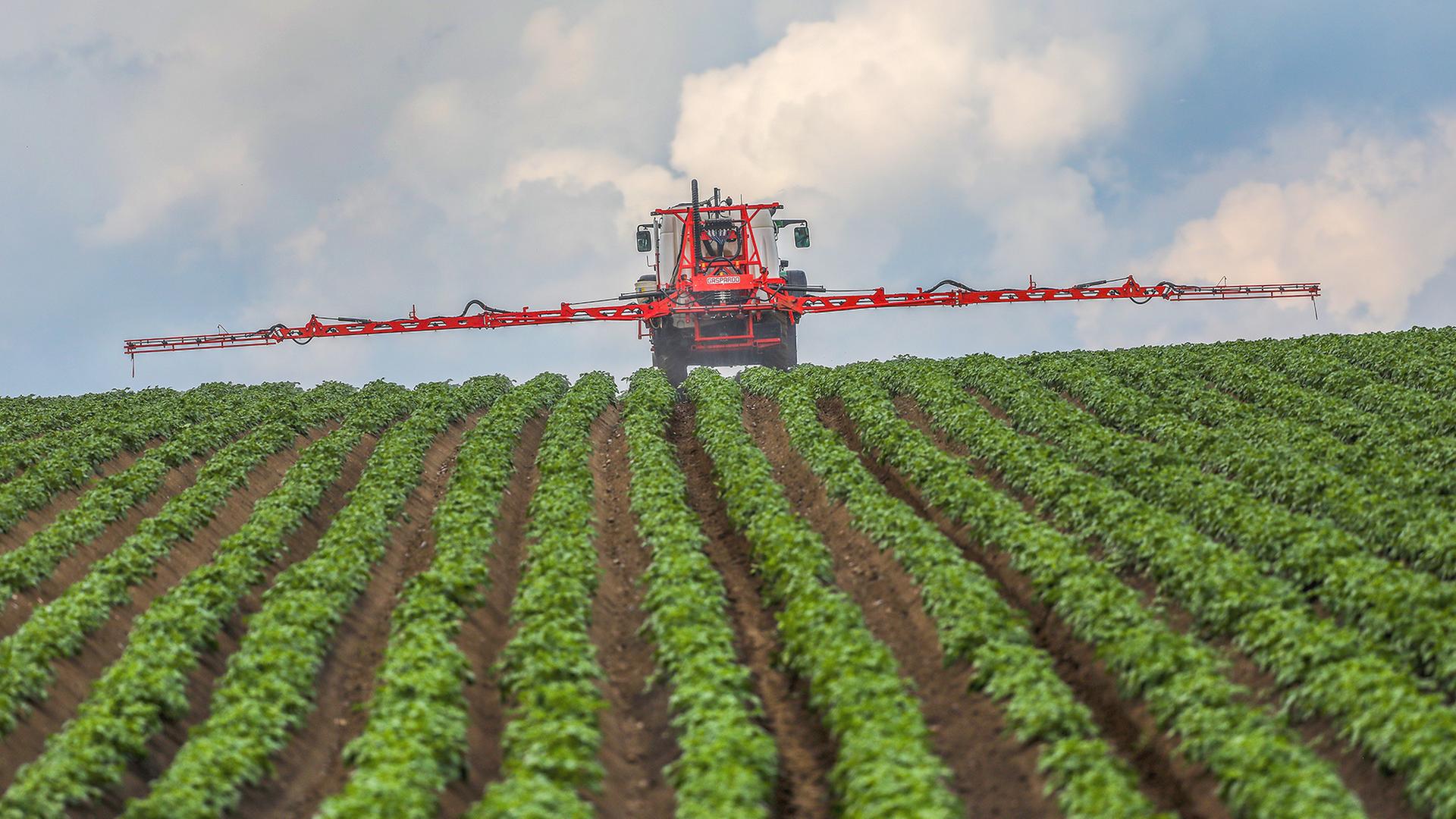  Ein Landwirt spritzt sein Kartoffelfeld mit einem Pestizid. | picture alliance/dpa