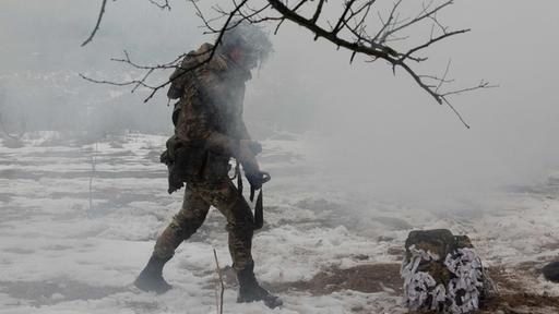 Krieg in der Ukraine - Auch die Natur ist zerstört