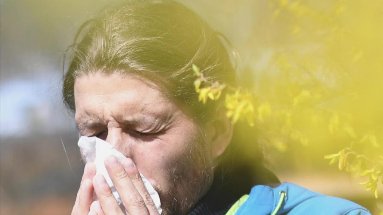 Immer mehr Pollen-Patienten in Deutschland
