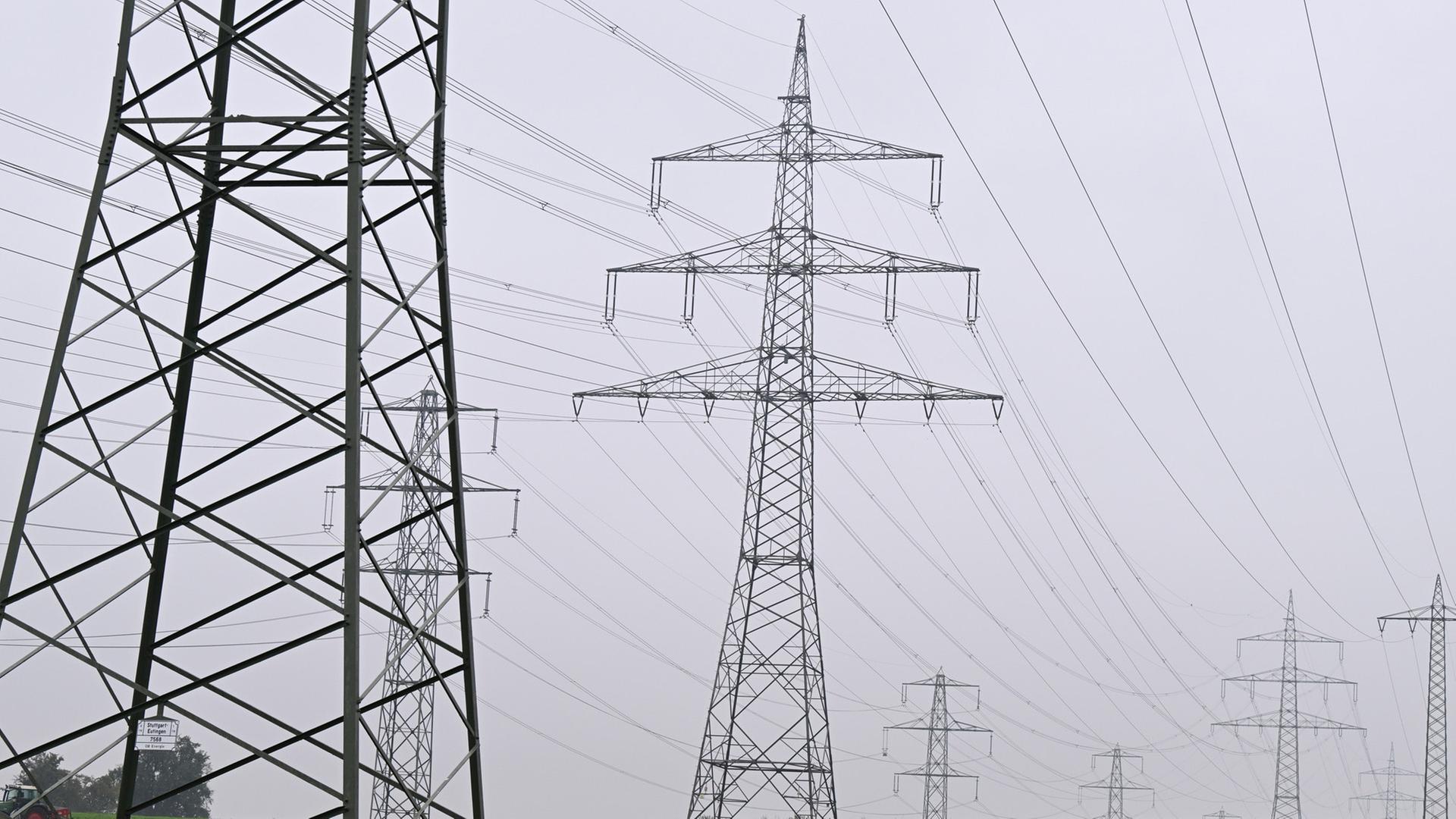 Mehrere Strommasten von �berlandleitungen stehen in der N�he eines Umspannwerks in Magstadt, Baden-W�rttemberg. | dpa