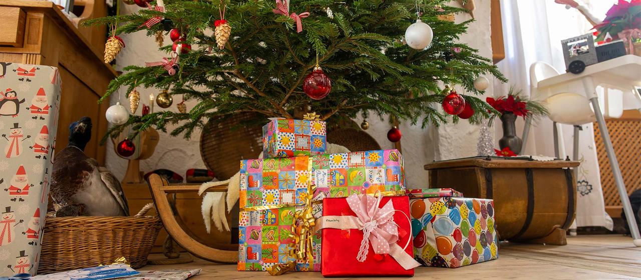 Unter dem Weihnachtsbaum liegen Geschenke.