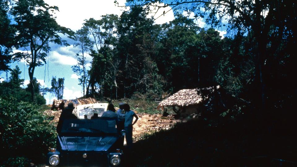 Eine zum VW-Konzern gehörende Farm in Brasilien.