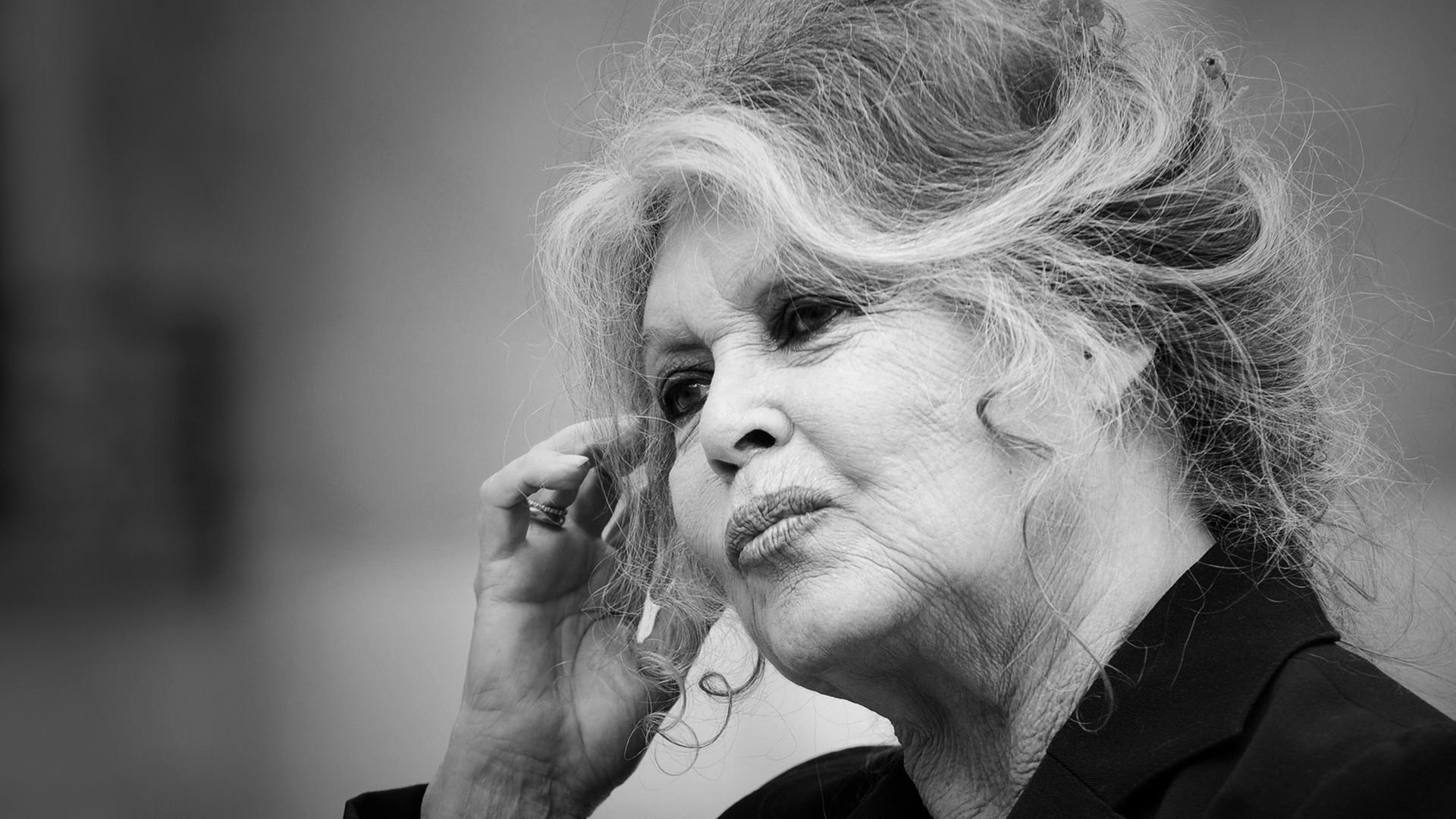 Brigitte Bardot (2007) | AFP