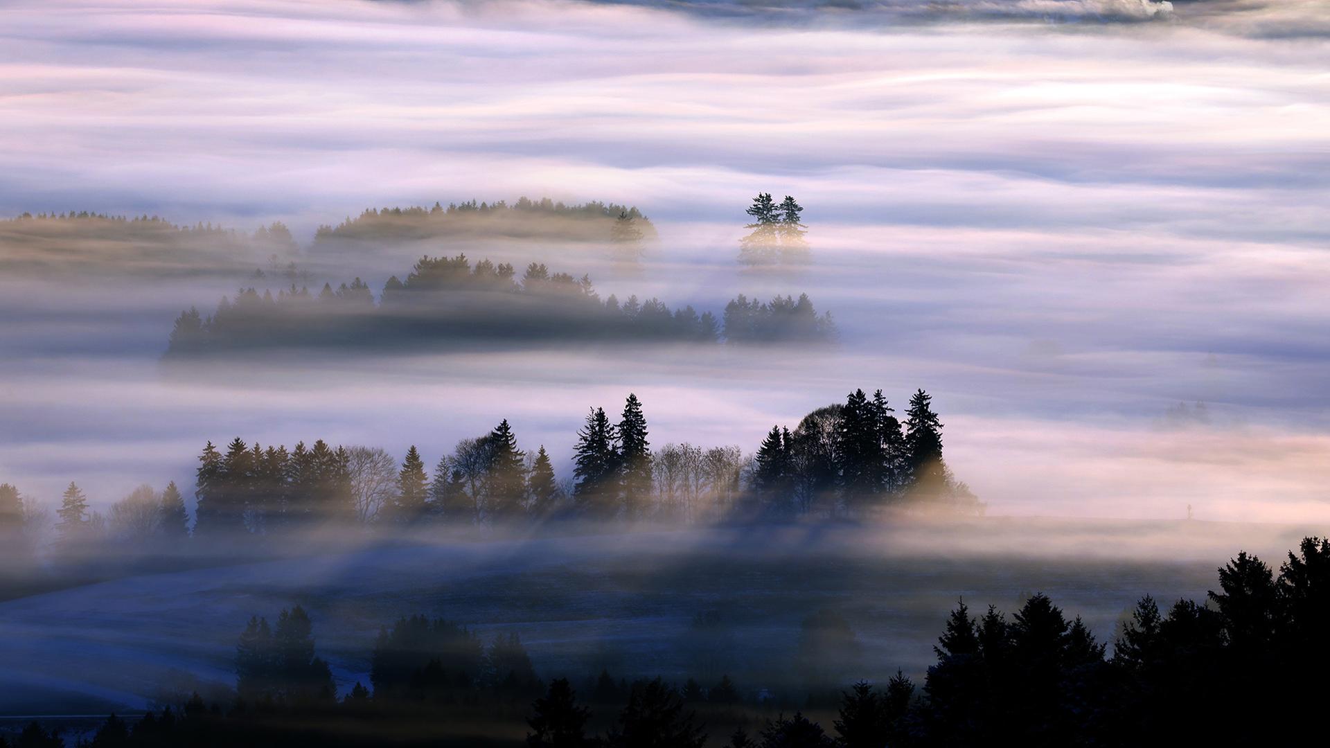 Im Morgennebel liegt das winterliche Alpenvorland bei Sonnenaufgang. | dpa