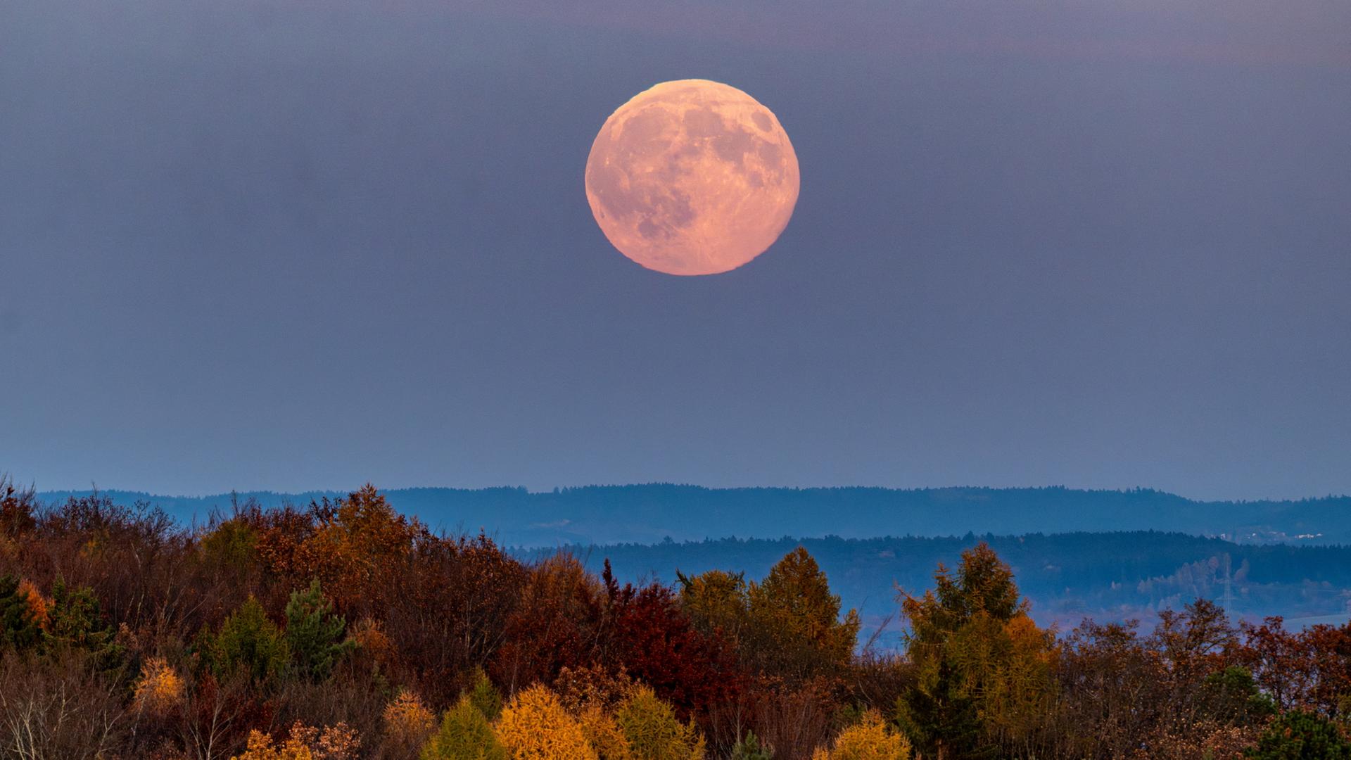  Der Vollmond geht über der herbstlichen Landschaft nahe Regensburg auf | dpa