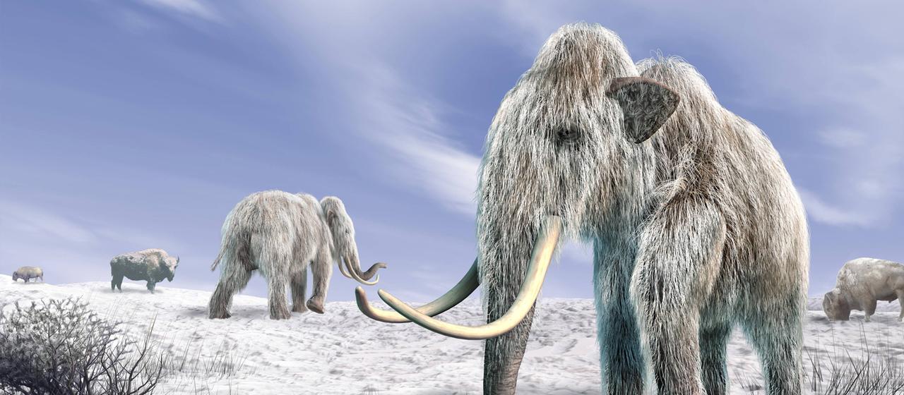 Mammut in Schneelandschaft (animiert)