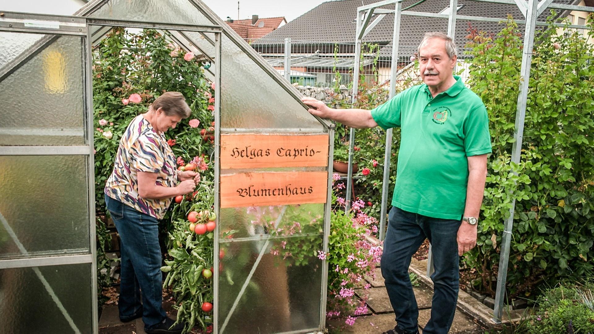 Garten gießen bei Hitze: Hobbygärtner baut ausgeklügeltes Bewässerungssystem
