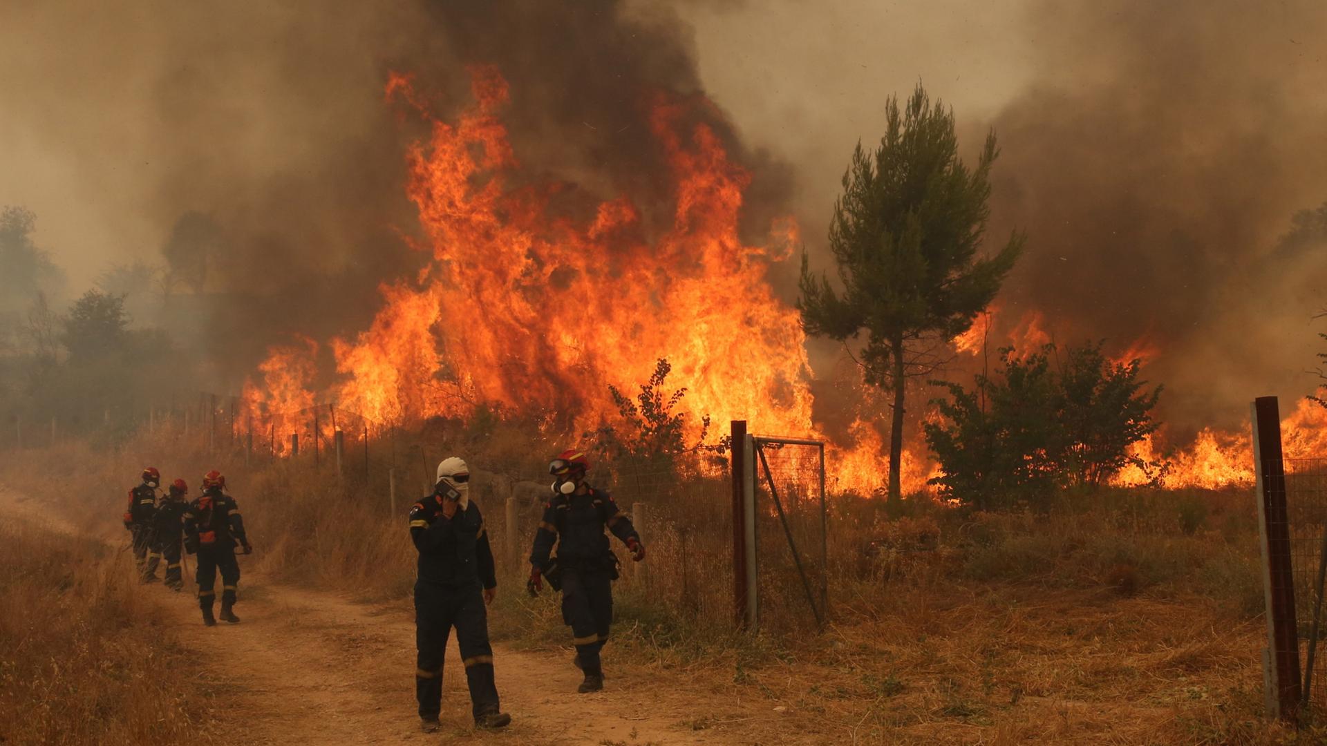Feuerwehren in Griechenland kämpfen gegen 73 Waldbrände