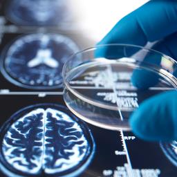 Gesundheit und Medizin