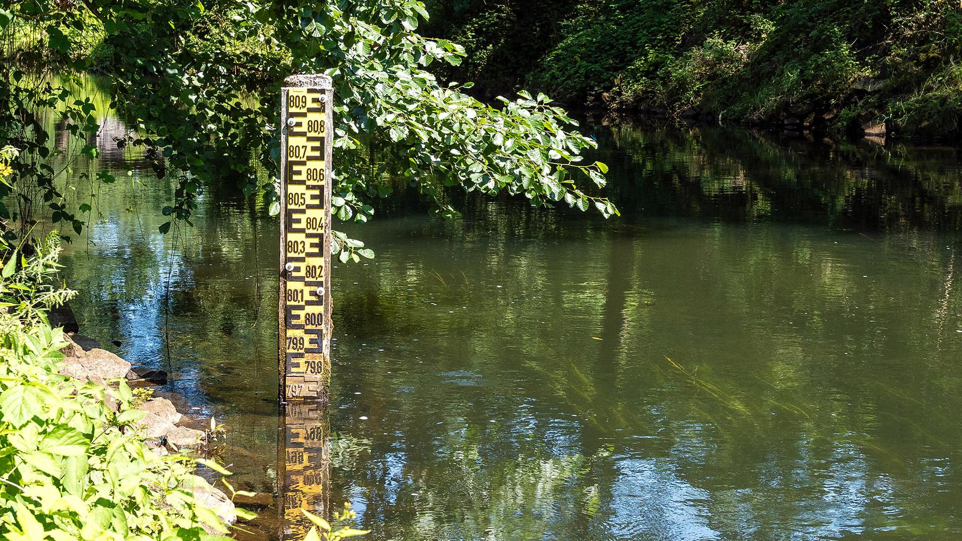 Niedrigwasser in der Spree: Weitere Maßnahmen eingeleitet