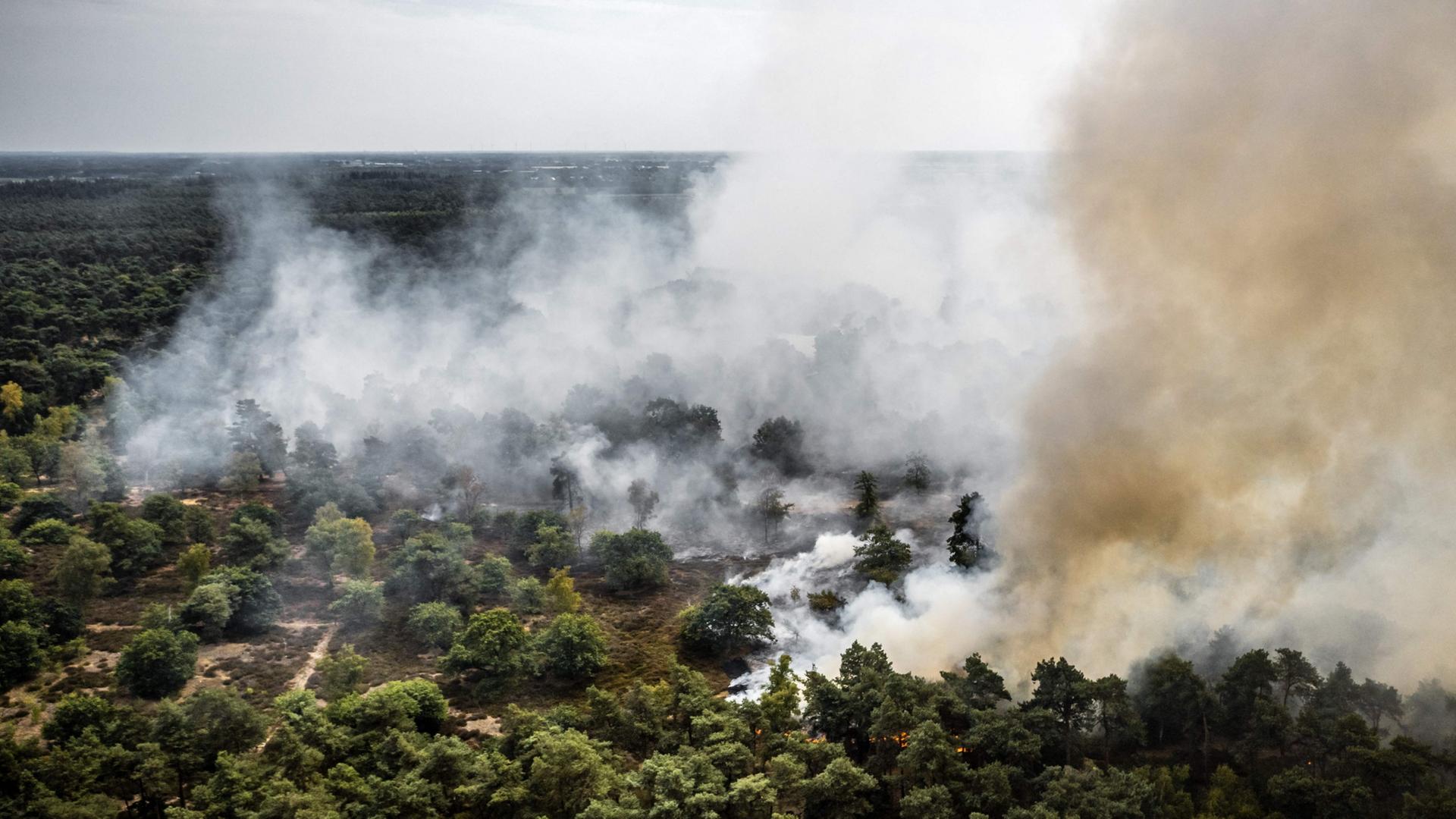 Waldbrand in den Niederlanden - Warnung vor Brandrauch in NRW