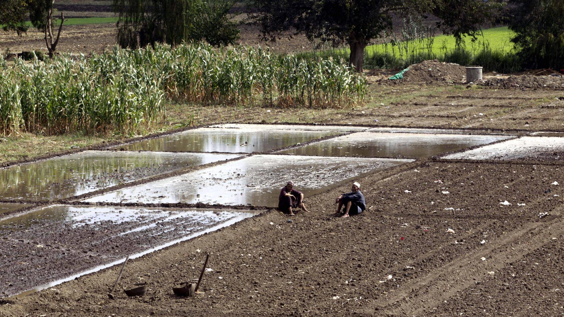 gypten und thiopiens Staudamm: Kein Wasser zu verschwenden | tagesschau.de