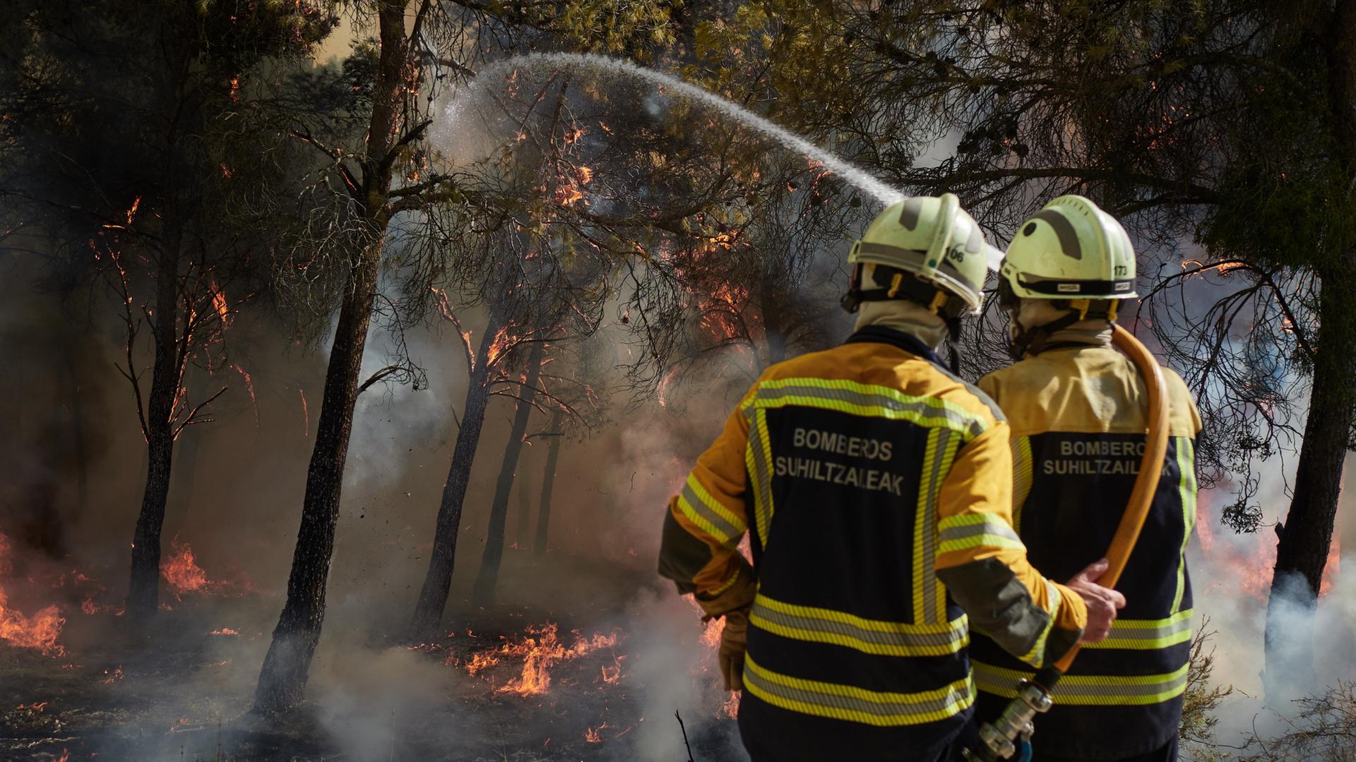 Feuerwehrleute bekämpfen einen Brand in einem Wald in Carcastillo, Navarra, in Spanien. (Archivbild: 10.08.2025) | Eduardo Sanz/EUROPA PRESS/dpa