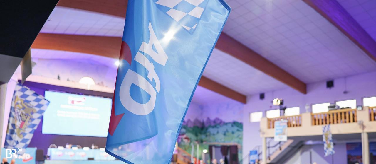 Archivbild: AfD-Landesparteitag