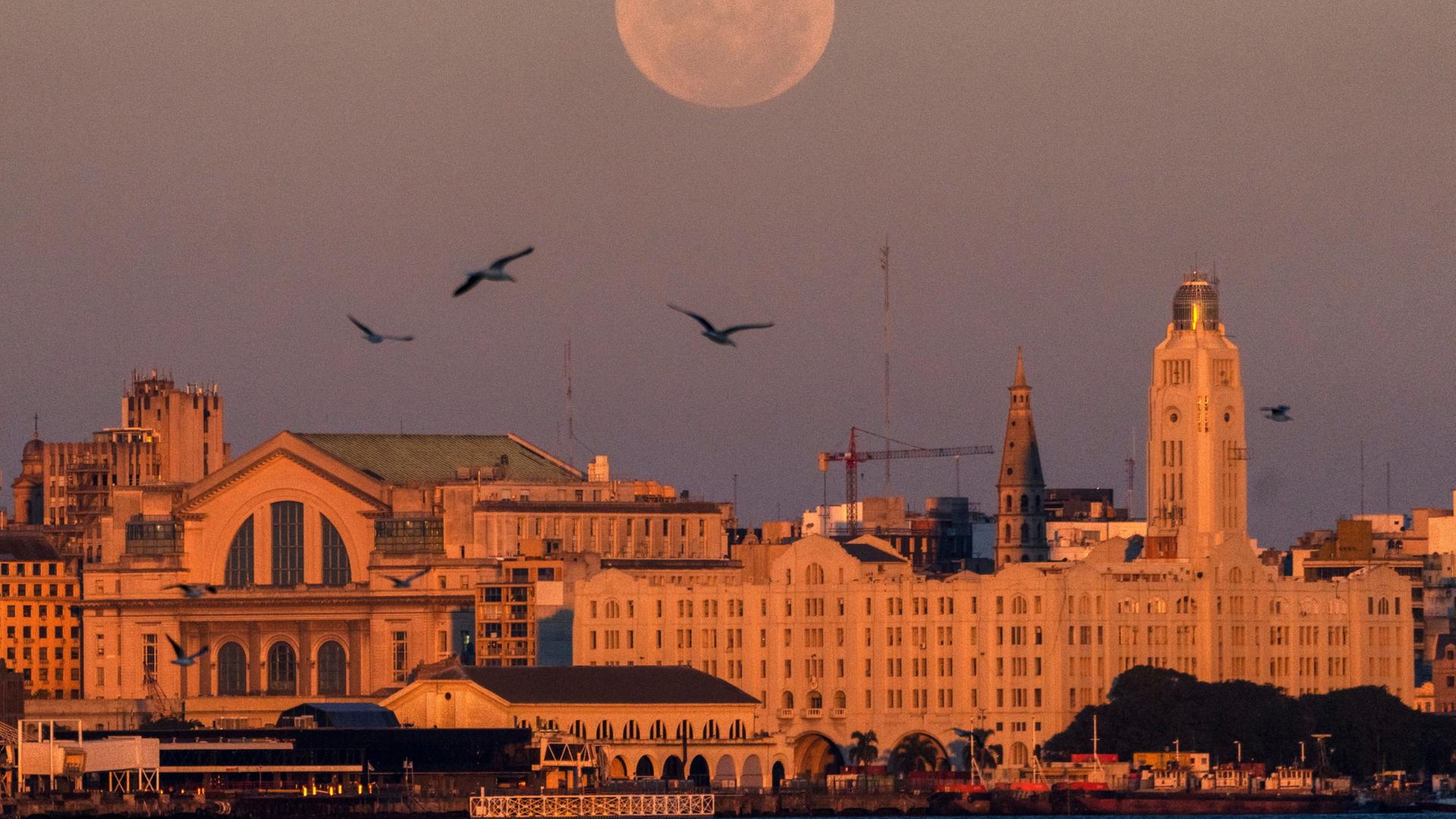Stadtansicht von Montevideo mit dem Mond | AP Photo/Matilde Campodonico