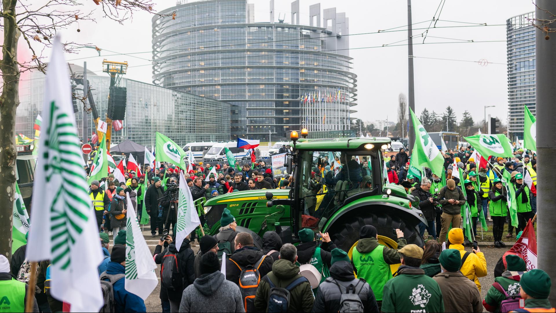 Menschen demonstrieren vor dem Gebäude des EU-Parlaments in Straßburg. | dpa