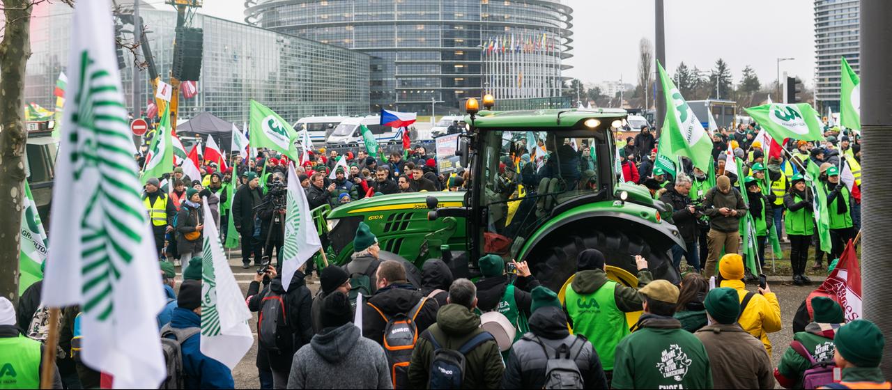 Menschen demonstrieren vor dem Gebäude des EU-Parlaments in Straßburg.