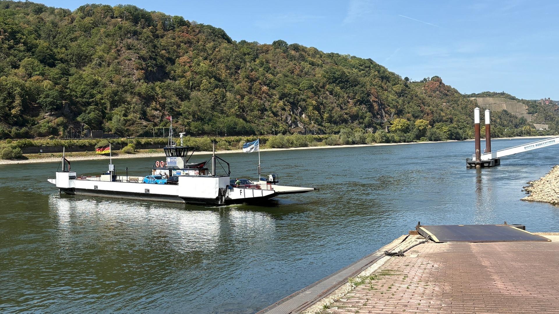 Die Fähre Kaub auf dem Rhein bei Niedrigwasser. | SWR