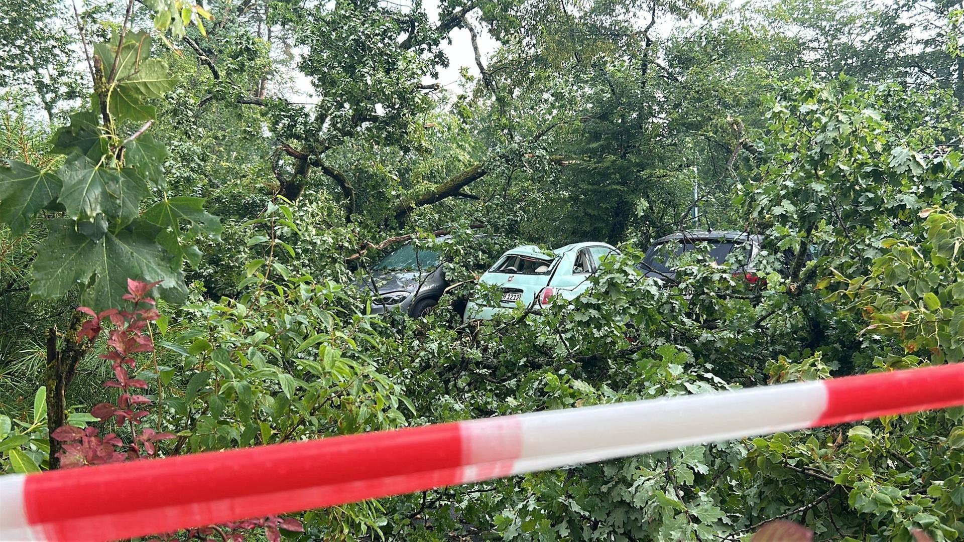 南西ドイツで猛烈な暴風雨が発生—自転車利用者が犠牲に