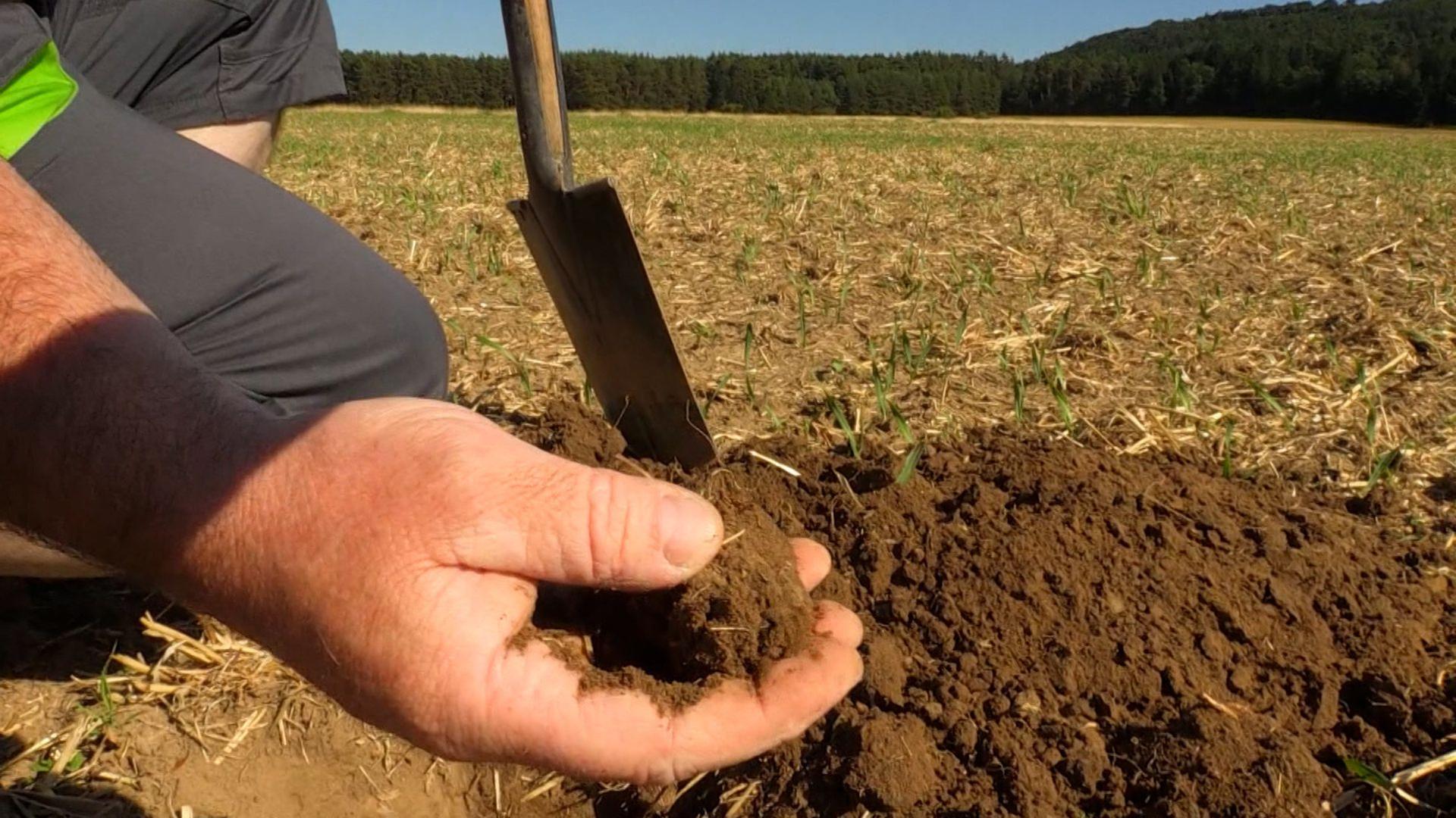 Stadt Neumarkt zahlt Gemeinwohlprämie an Landwirte
