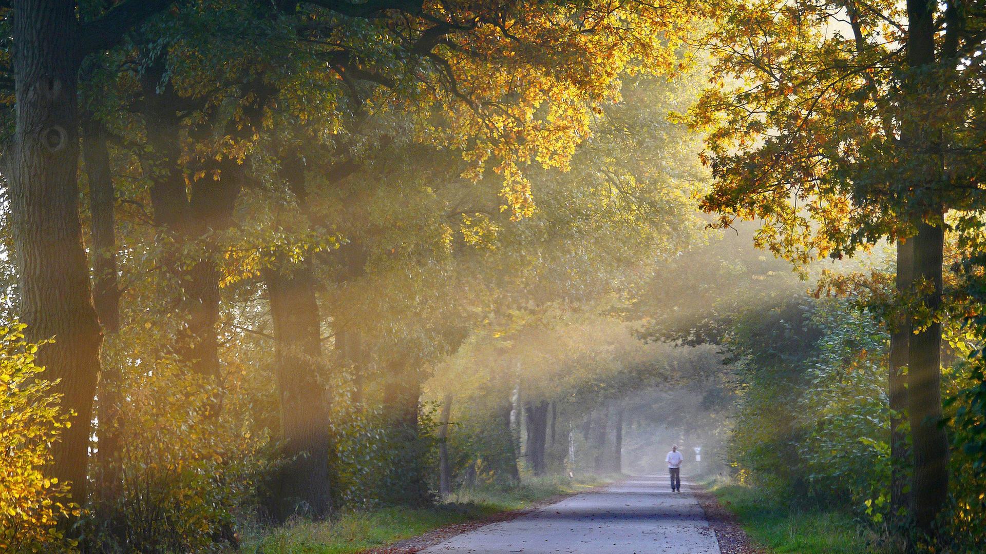FrÃ¼herbstliche Stimmung | hr