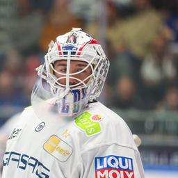 Eisbären Torwart Jake Hildebrand. Bild: IMAGO / Fotostand