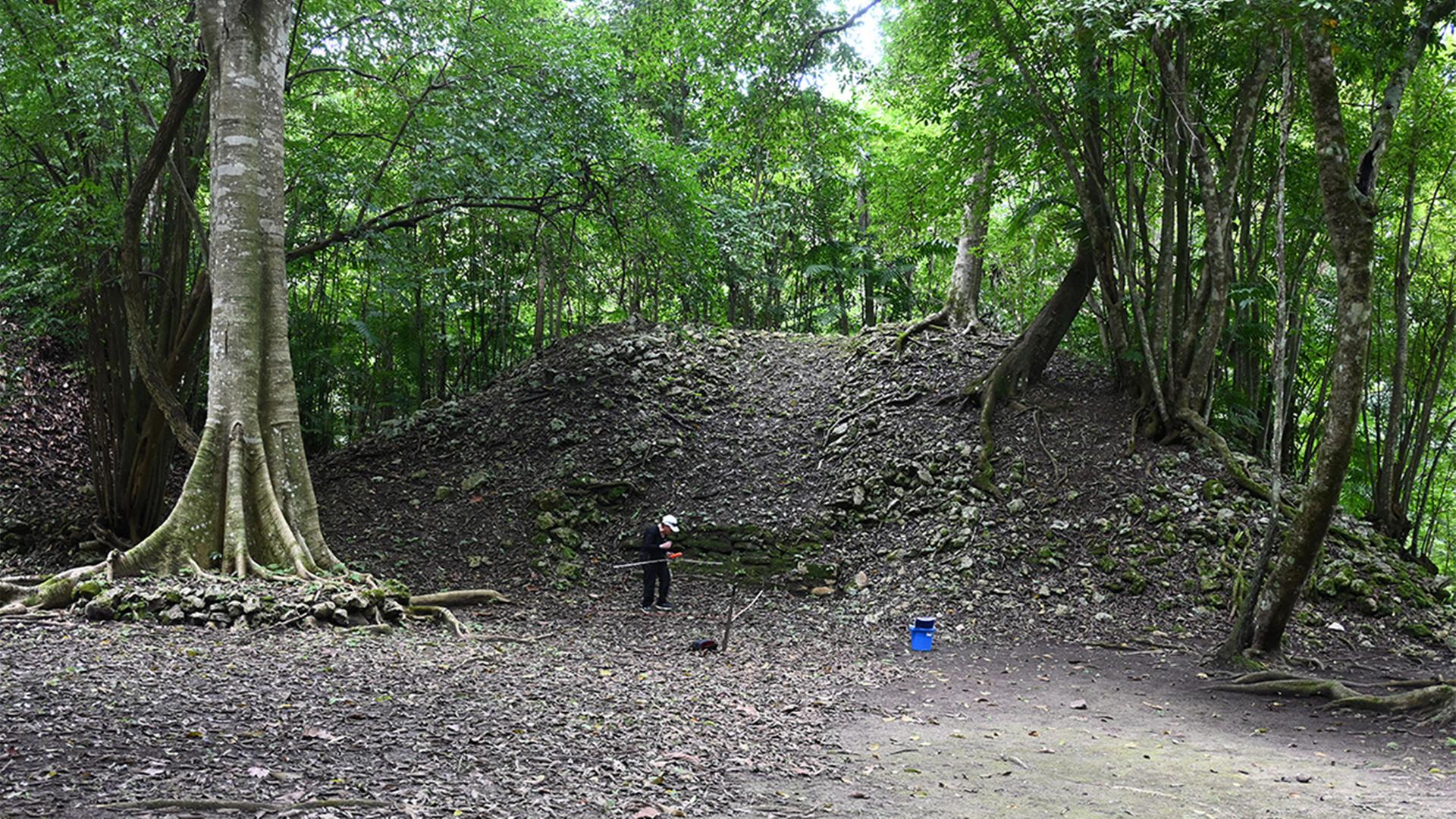 Archäologie in Mittelamerika: Neues Königsgrab der Maya entdeckt