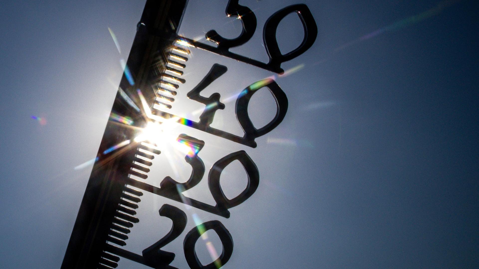 今年の夏、ベルリンの気温が異常？気候変動と猛暑の違い