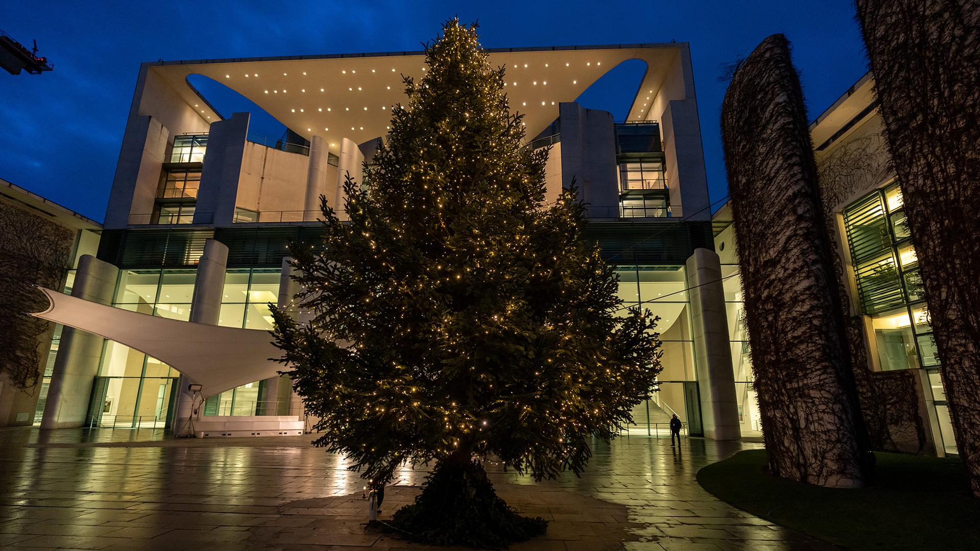 Ein Weihnachtsbaum steht vor dem Bundeskanzleramt. | dpa