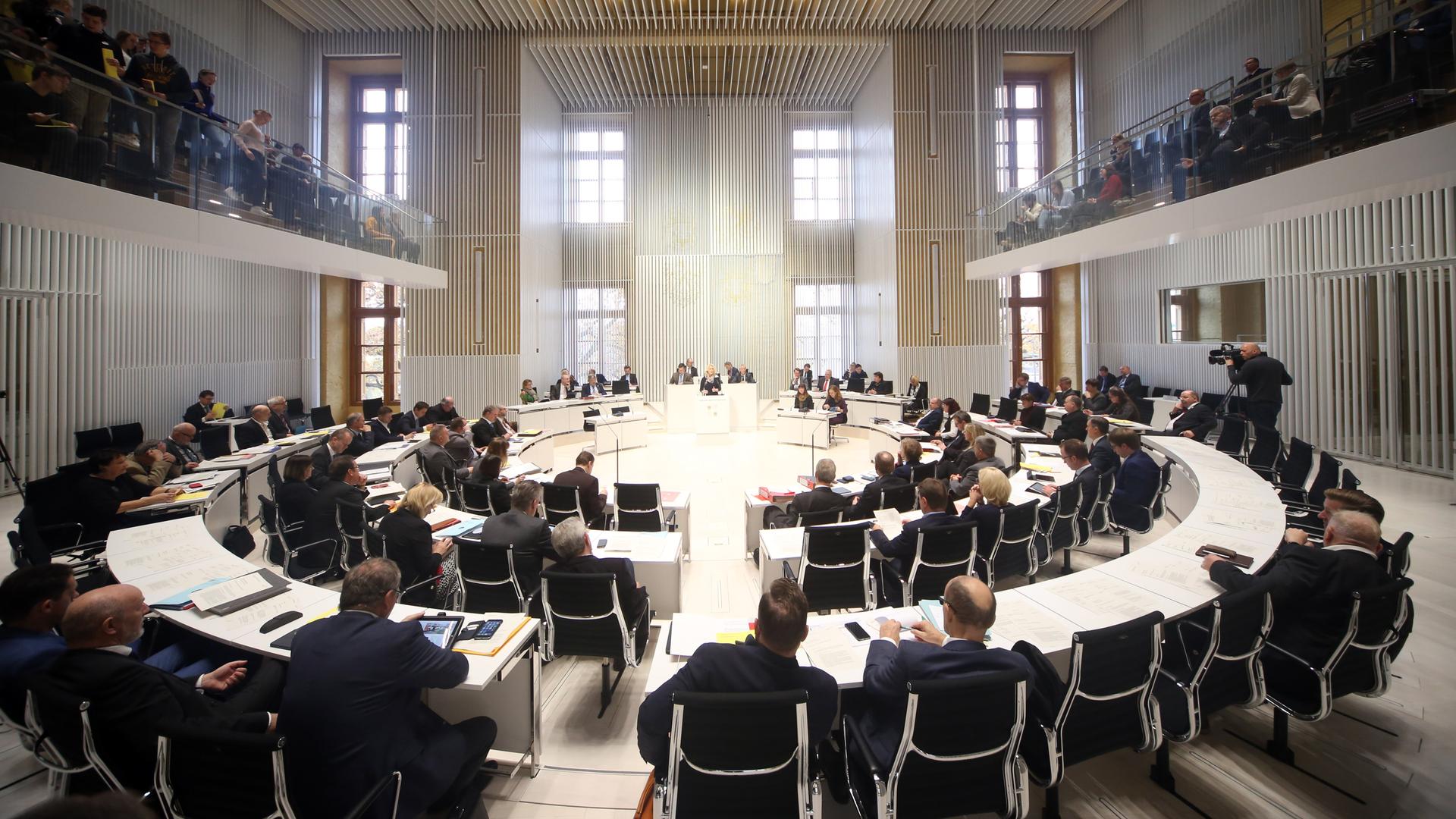 Sitzung des Landtags von Mecklenburg-Vorpommern | picture alliance/dpa