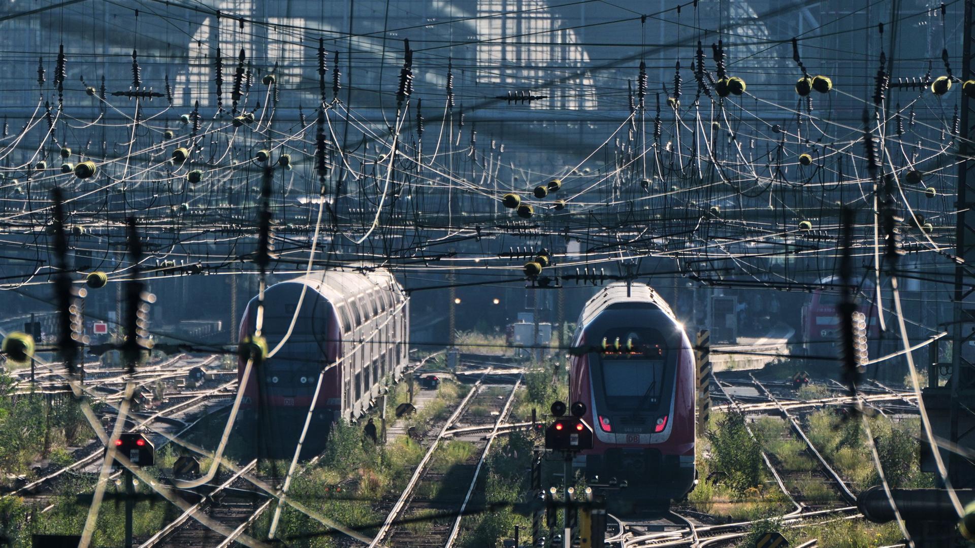 Züge stehen vor dem Hauptbahnhof in Frankfurt am Main. | AP Photo/Michael Probst
