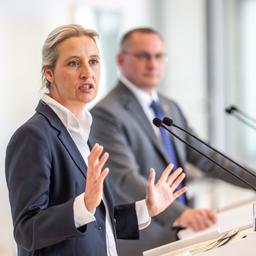 Alice Weidel und Tino Chrupalla
