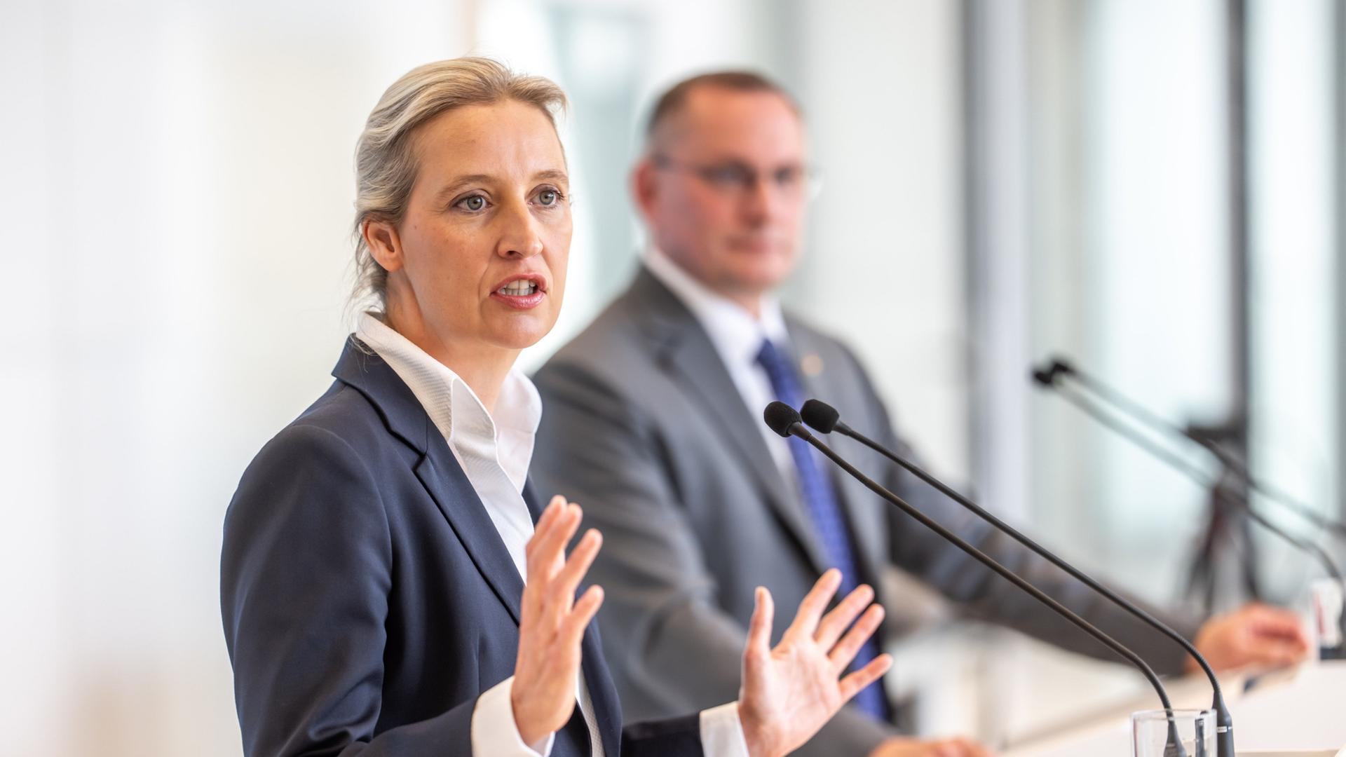 Alice Weidel und Tino Chrupalla | Michael Kappeler/dpa