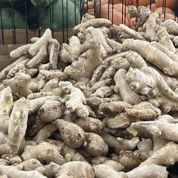 Ingwer wird zum Verkauf angeboten. 