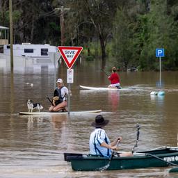 Im australischen Maitland fahren Anwohner auf Booten oder Paddleboards durch die überfluteten Straßen.