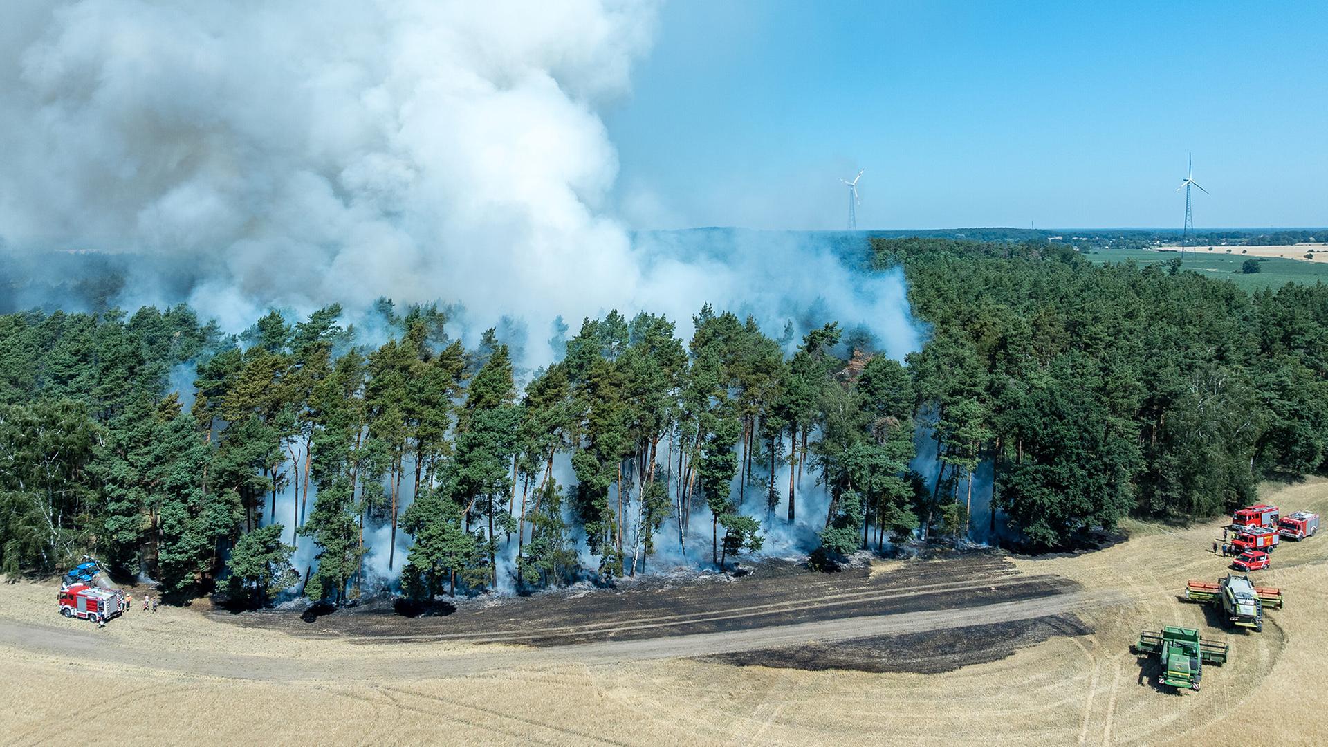 Waldbrandbericht 2025: Mehr als 300 Waldbrände in Brandenburg