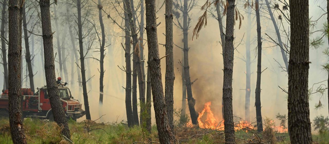 Ein Feuerwehrfahrzeug steht in der französischen Region Landes in einem Wald, im Hintergrund sind Flammen und Rauch sichtbar.