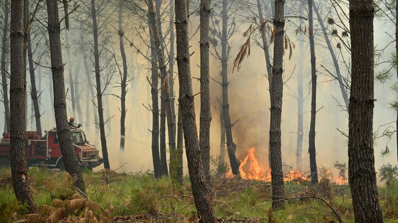 tagesschau: Waldbrände in Europa: Wo es gerade brennt