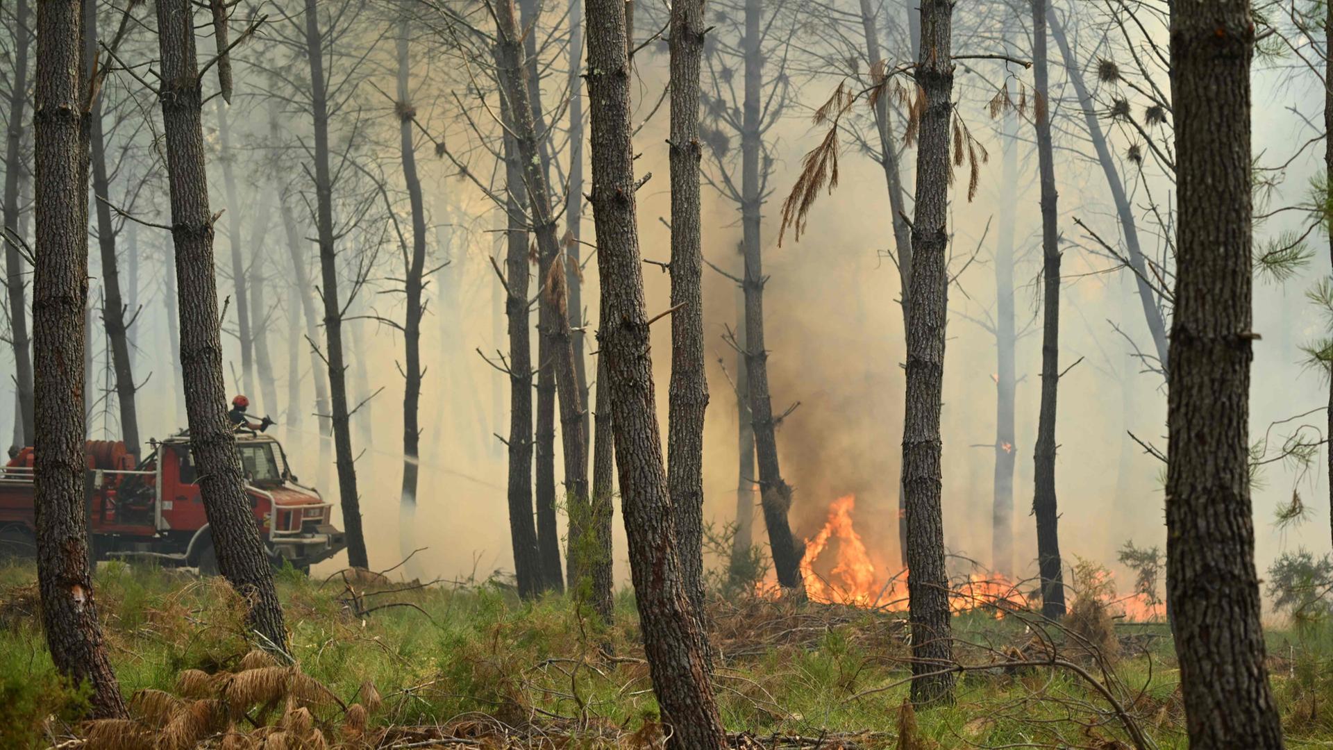 Waldbrände in Europa: Wo es gerade brennt